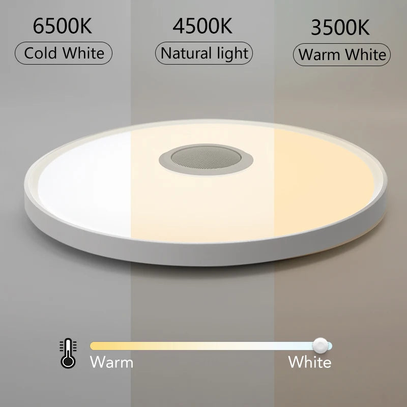 LED Smart Ceiling Lamps RGB APP Remote Control Dimming Modern Home Lighting Music Light with Speaker For Living Room Bedroom